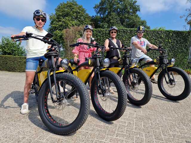 E-Yellow Fat-bike