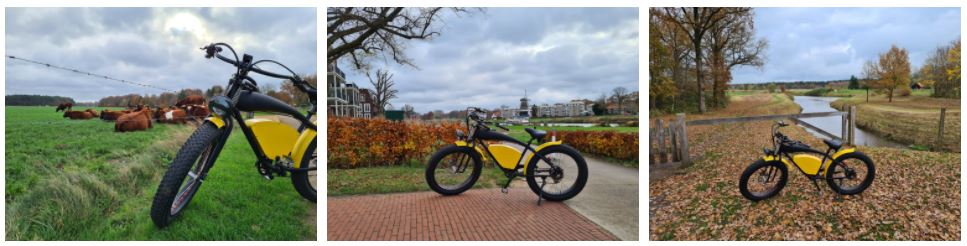 E-chopper Overijssel