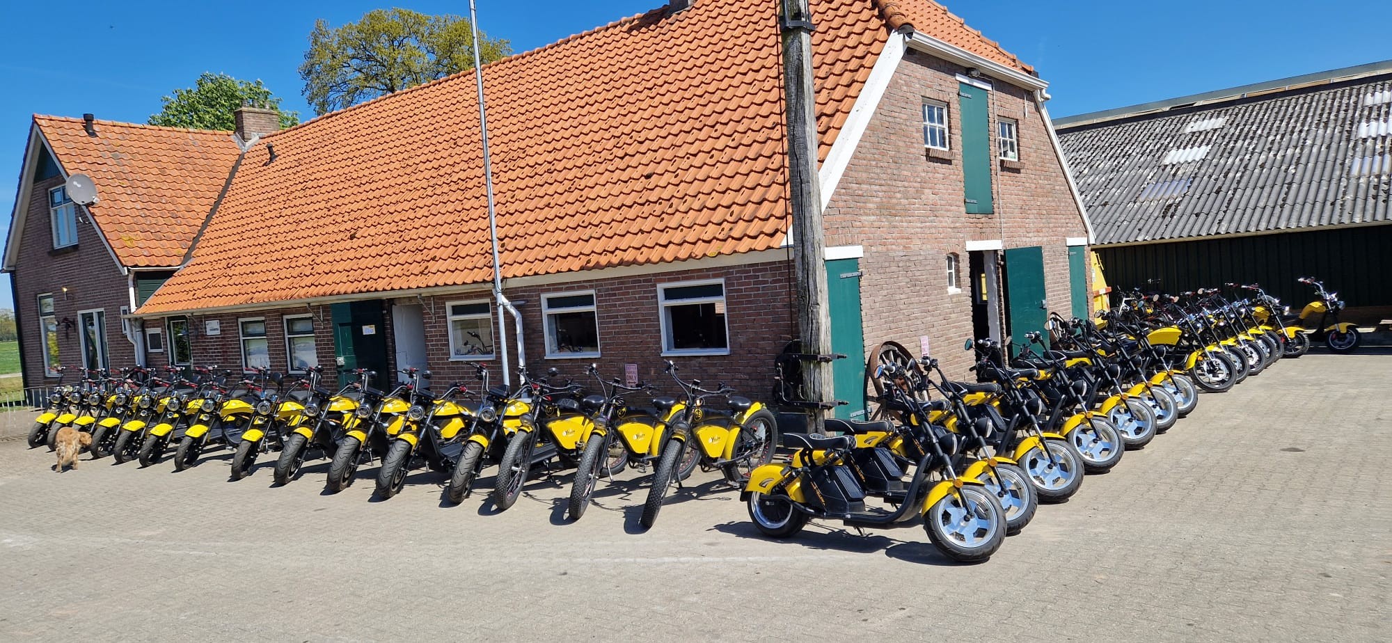 E-Yellow e-chopper verhuur E-Yellow e-chopper verhuur