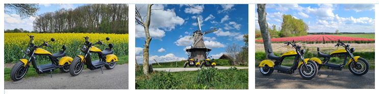 E-chopper Overijssel